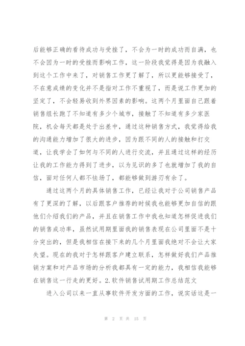 软件销售试用期工作总结范文5篇.docx