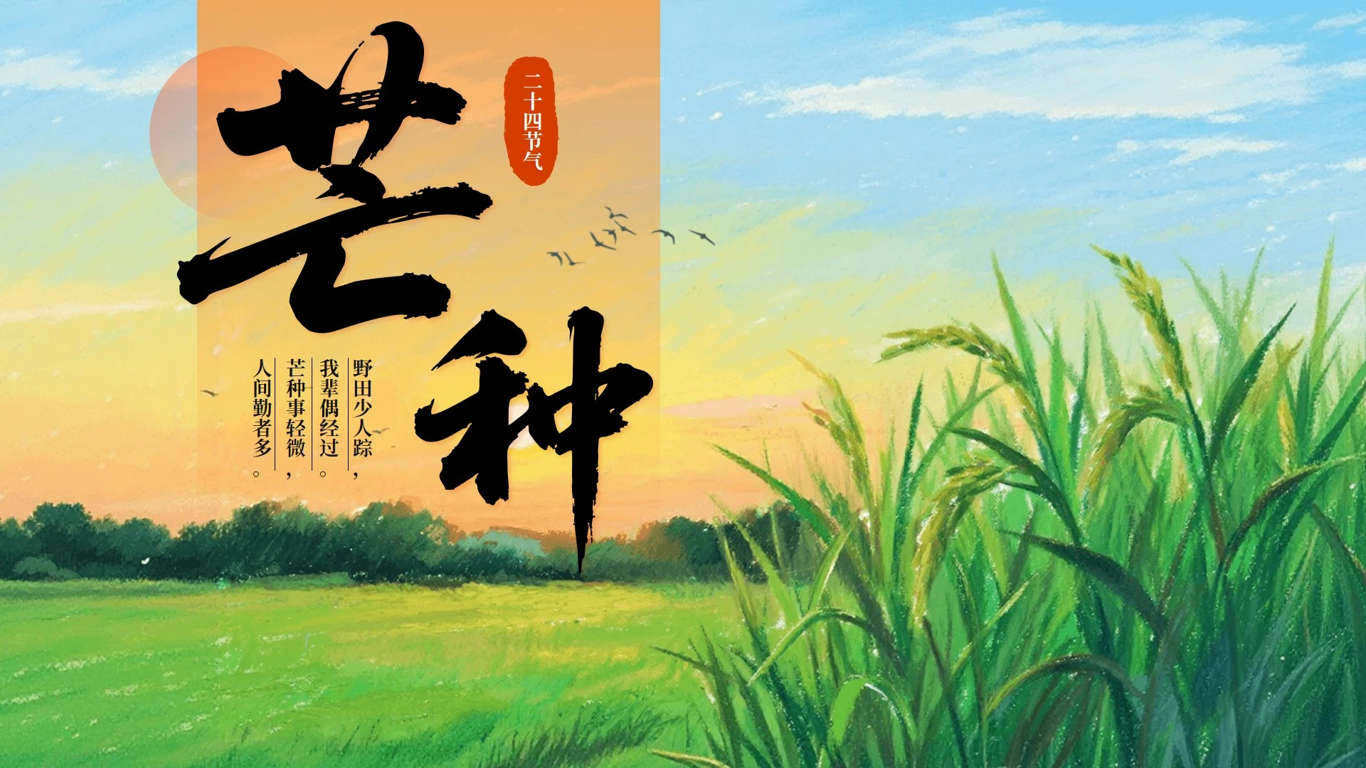 绿色中国风芒种二十四节气封面PPT单页