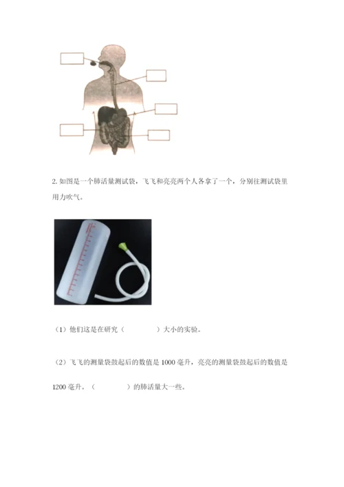 教科版四年级上册科学期末测试卷带答案（巩固）.docx