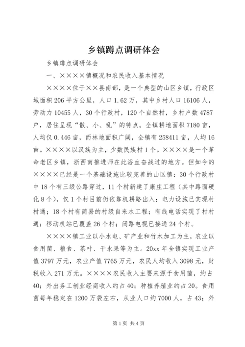 乡镇蹲点调研体会.docx