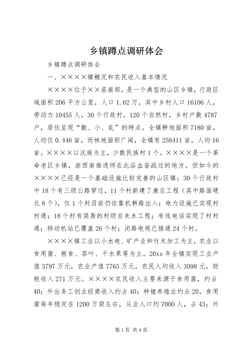 乡镇蹲点调研体会.docx