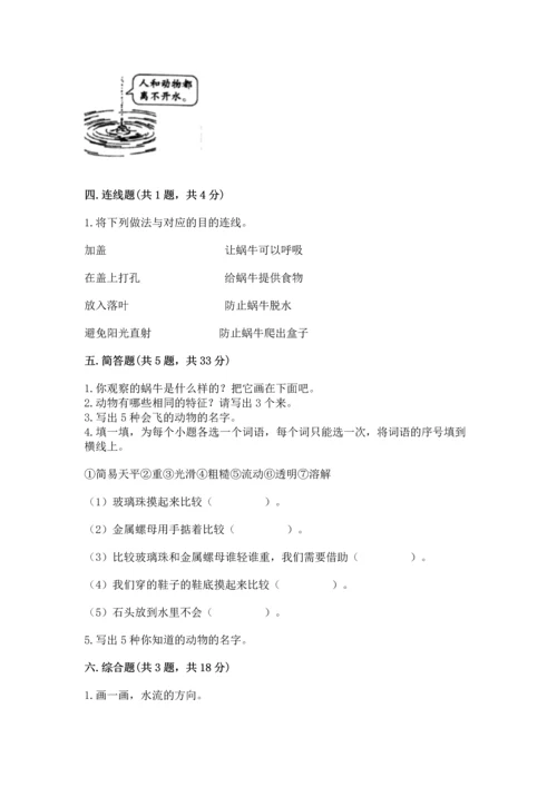 教科版一年级下册科学期末测试卷含完整答案【夺冠】.docx