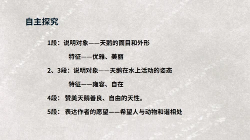 《天鹅》布丰天鹅湖通用PPT课件