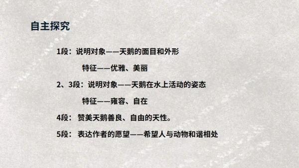 《天鹅》布丰天鹅湖通用PPT课件