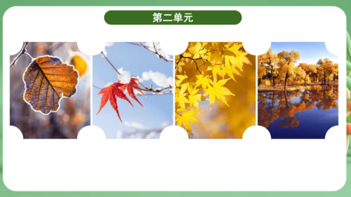 统编版2024三年级语文上册第二单元复习   课件