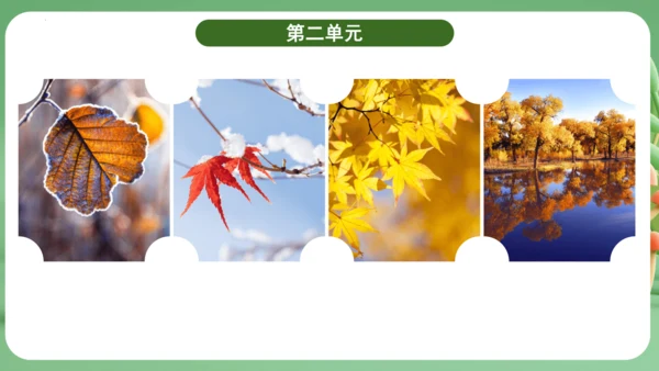 统编版2024三年级语文上册第二单元复习   课件
