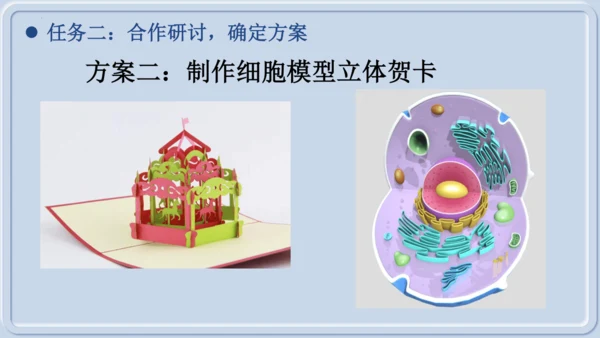 综合实践项目1制作细胞模型（课件）（人教版2024）-【跨学科实践】七年级生物上册跨学科实践备课包（