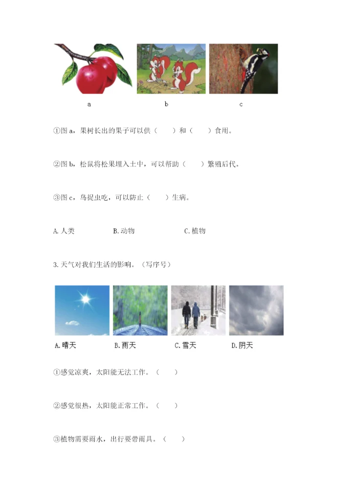 教科版二年级上册科学期末测试卷及参考答案（研优卷）.docx