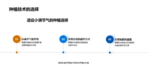 小满节气农业解析