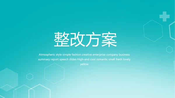 逆行者蓝色医生工作总结述职报告PPT