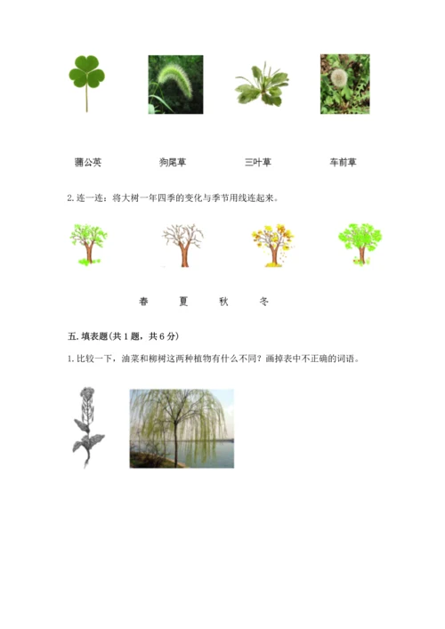 教科版科学一年级上册第一单元《植物》测试卷精品【夺冠系列】.docx