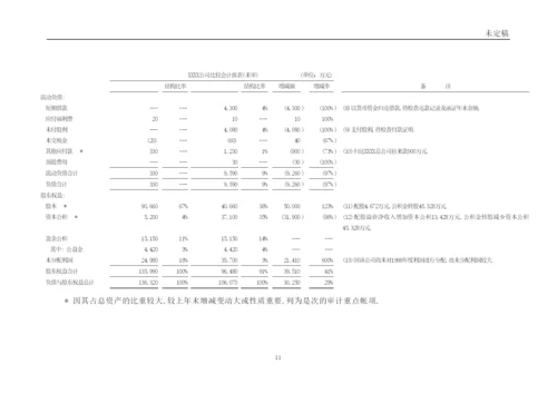 总体审计计划.docx