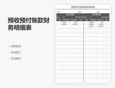 预收预付账款财务明细表