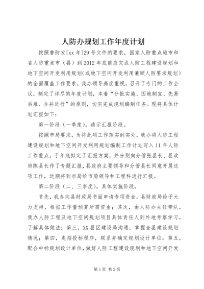 人防办规划工作年度计划.docx