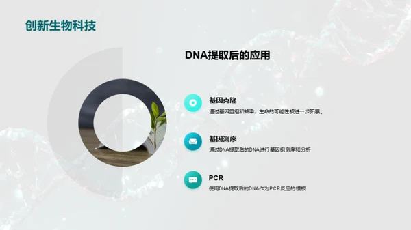 DNA提取全解析