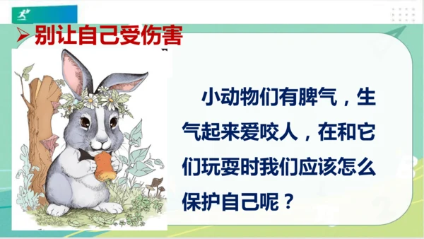 一年级道德与法治下册：第七课 可爱的动物 课件（共26张PPT）