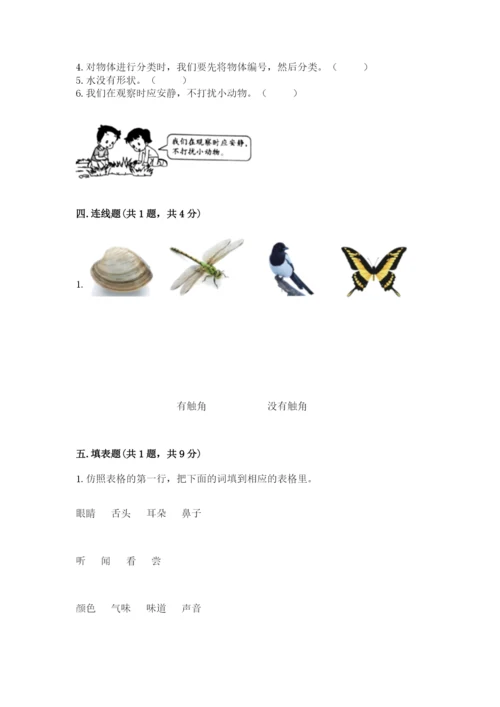 教科版一年级下册科学期末测试卷【名师系列】.docx