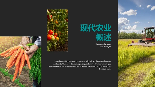 绿色农产品瓜果蔬菜农业主题通用PPT模板