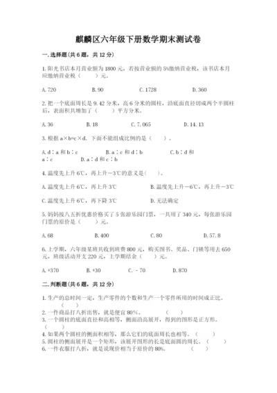 麒麟区六年级下册数学期末测试卷及完整答案.docx