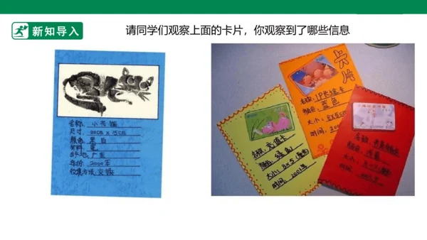 第十四课《我的收藏卡》课件