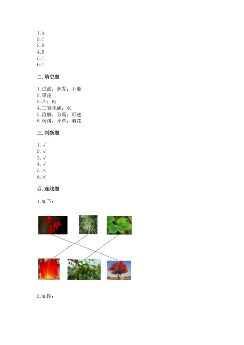 教科版科学一年级上册第一单元《植物》测试卷含答案【研优卷】.docx