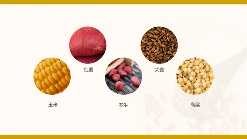 简约卡通节约粮食主题教育班会PPT模板