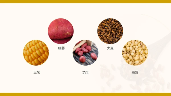 简约卡通节约粮食主题教育班会PPT模板