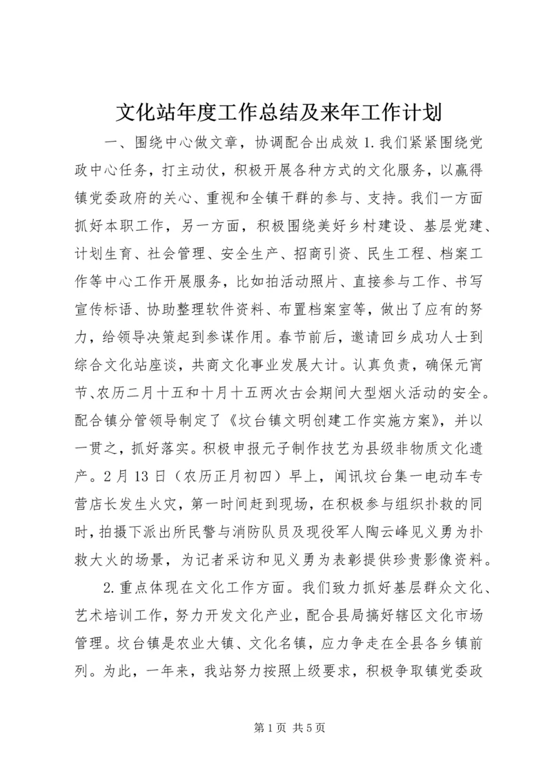 文化站年度工作总结及来年工作计划.docx