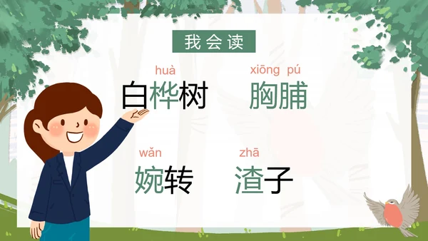 部编版三年级上册《灰雀》课件PPT模板