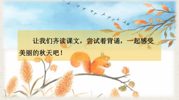 课文1 秋天  课件