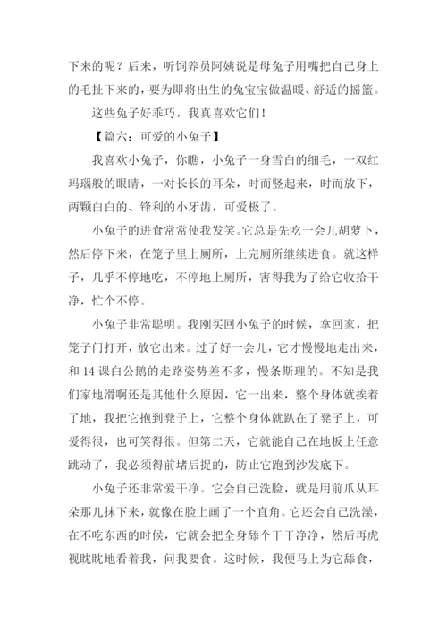 可爱的小兔子作文350字.docx