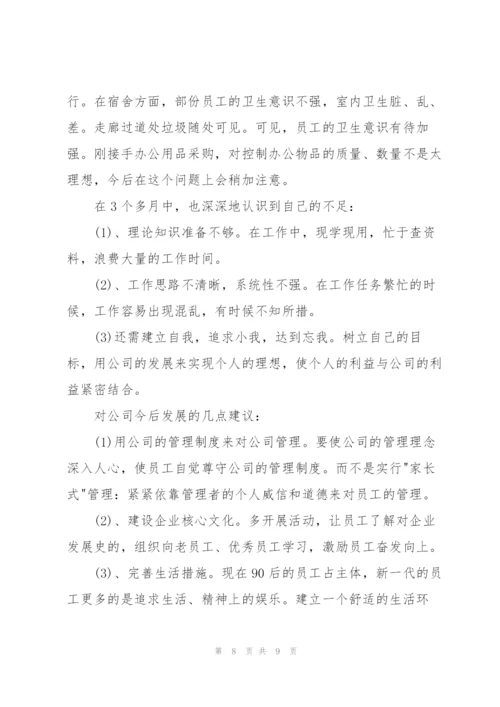 IT半年工作总结范文3000字.docx