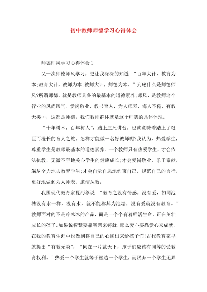 初中教师师德学习心得体会.docx