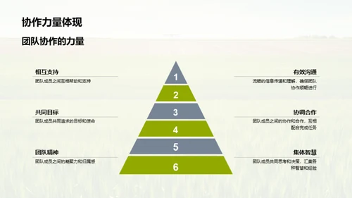 农场团队协作优化