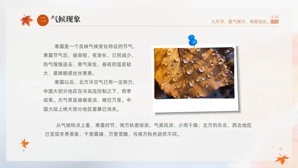 白色淡雅实拍风中国传统节气寒露节气介绍PPT
