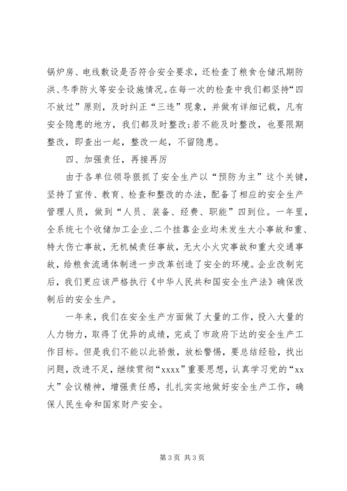 粮食局安全生产总结及工作计划 (4).docx