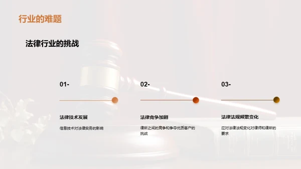 法律行业专业演讲：法律实务分享