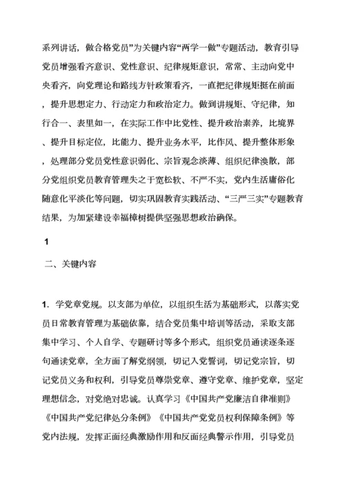安徽省两学一做实施专项方案.docx