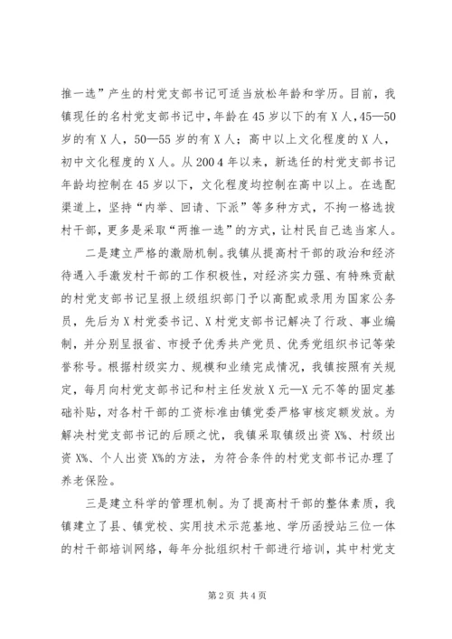 村党支部书记规范化管理工作汇报材料.docx