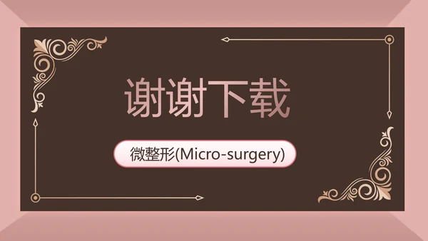 微整形项目介绍工作总结汇报动态PPT