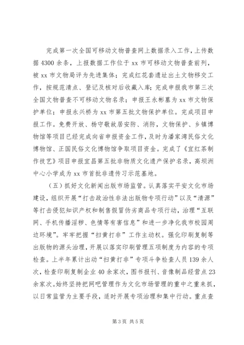 文化局上半年工作总结下半年工作计划.docx