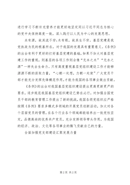 全面加强党支部建设汇聚发展力量.docx