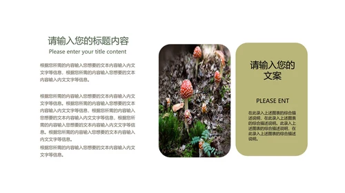 绿色插画风教育教学PPT模板