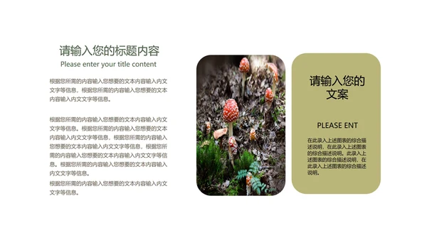 绿色插画风教育教学PPT模板