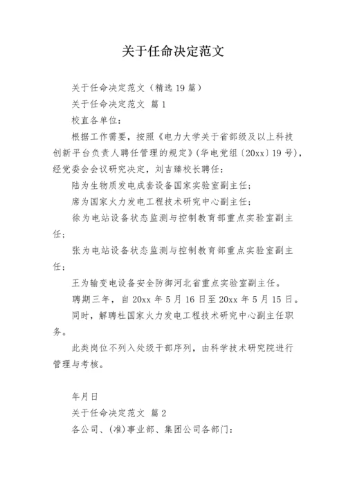 关于任命决定范文.docx