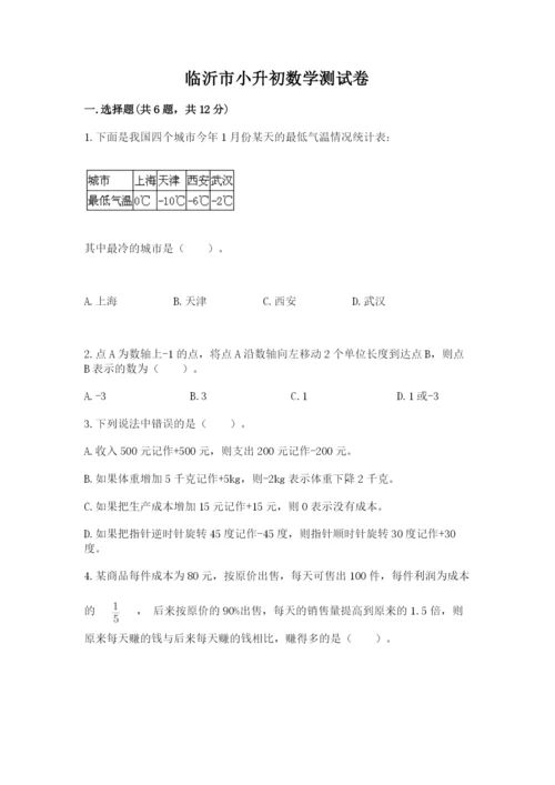 临沂市小升初数学测试卷汇编.docx