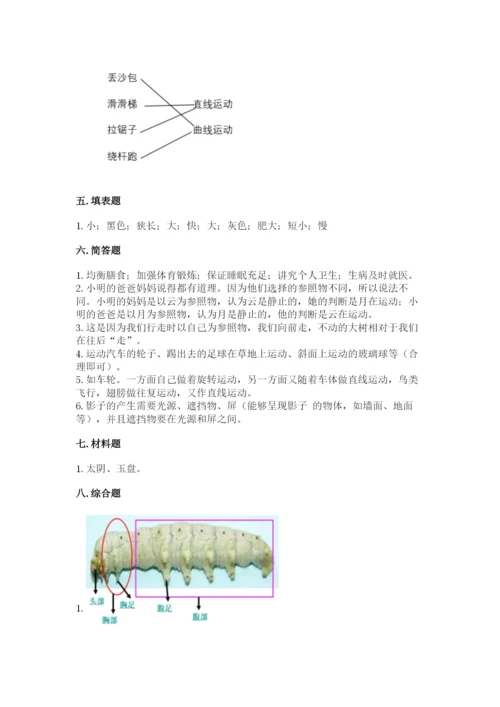 教科版科学三年级下册 期末测试卷（满分必刷）.docx