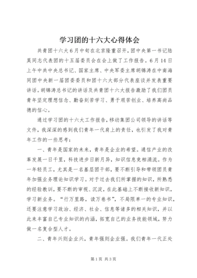 学习团的十六大心得体会 (5).docx