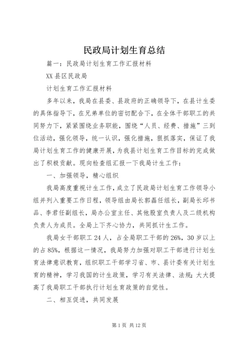 民政局计划生育总结.docx