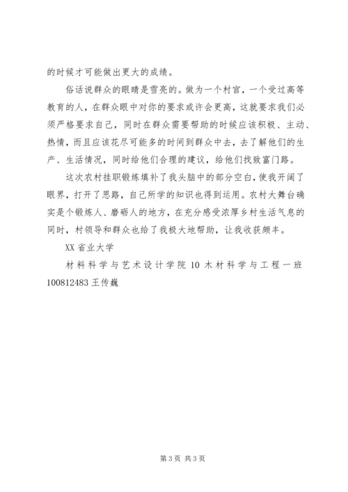 回乡挂职副村长报告 (4).docx